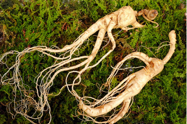 1613635314598924.png image.png